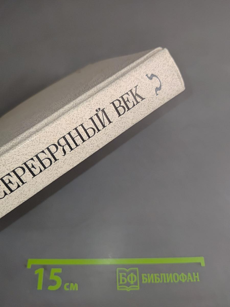 Серебряный век. Петербургская поэзия конца XIX — начала XX в.