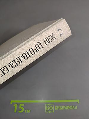 Серебряный век. Петербургская поэзия конца XIX — начала XX в.