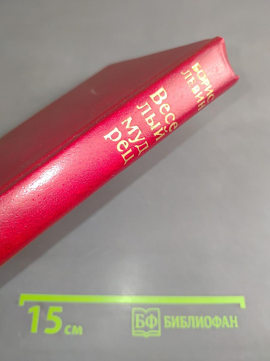 Веселый мудрец. Книга II