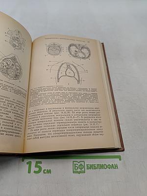 Основы эмбриологии по Пэттену. Том 2
