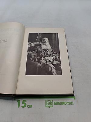 Л.Н. Толстой. Собрание сочинений. Том пятнадцатый. Статьи об искусстве и литературе