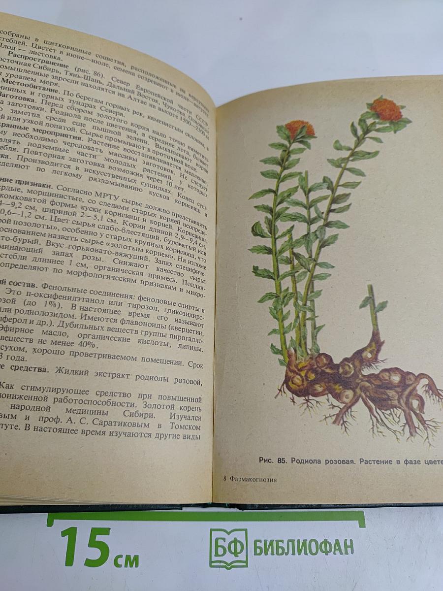 Фармакогнозия