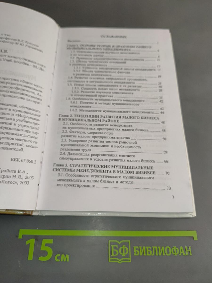 Муниципальный менеджмент малого бизнеса и его информационное обеспечение