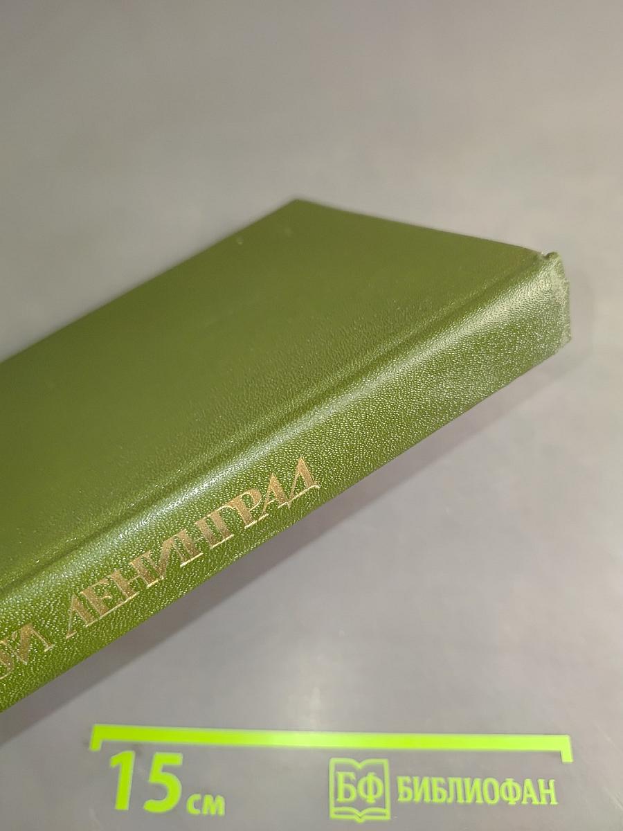 Молодой Ленинград '79