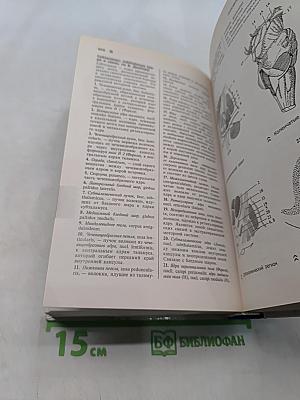 Справочный атлас анатомии человека