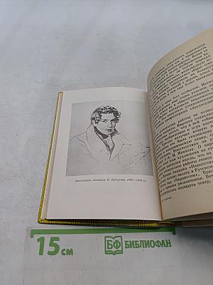 Карл Брюллов в Петербурге