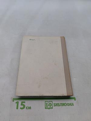 Карл Брюллов в Петербурге