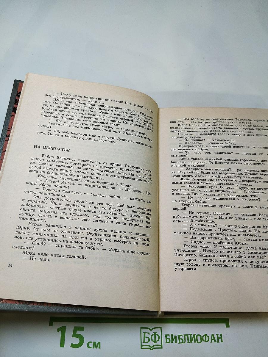 Юрка Гусь. Повести и рассказы
