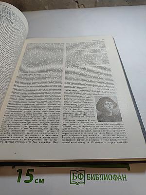 Экономическая энциклопедия. Политическая экономия. Том 2: Индивидуальное производство - Мюрдаль