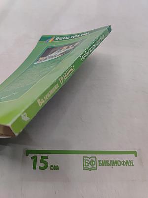 Голубая целительница глина