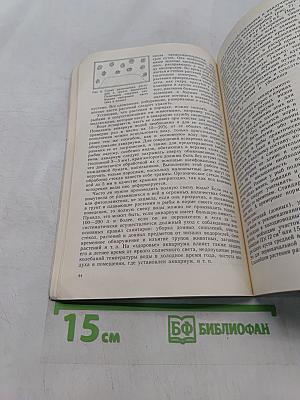 Уголок природы в школе. Кн. для учителя