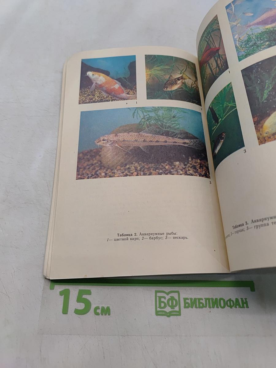Уголок природы в школе. Кн. для учителя