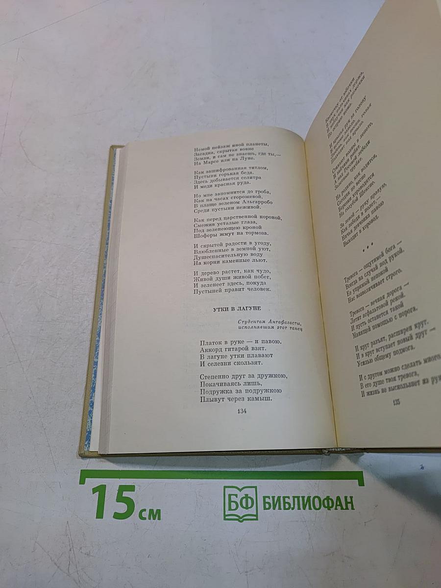 Стихотворения. Поэмы. Том 2