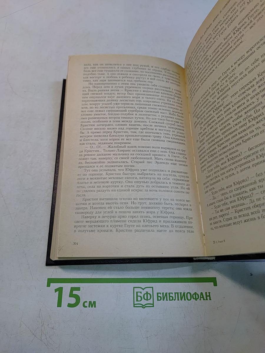Кристин, дочь Лавранса. Роман в трех книгах. Книга 3. Крест