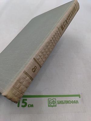 Собрание сочинений. Том восьмой. Повести и рассказы 1870-1882
