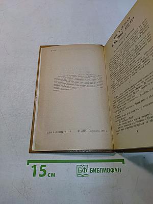 Прекрасная француженка или История любви Анабель де Круазье