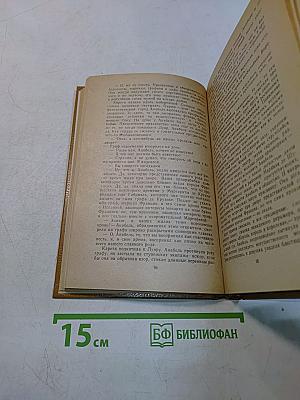 Прекрасная француженка или История любви Анабель де Круазье
