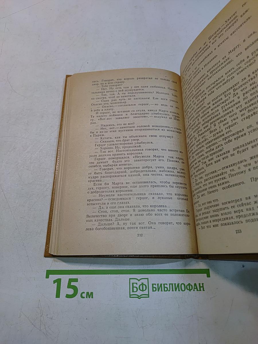 Прекрасная француженка или История любви Анабель де Круазье