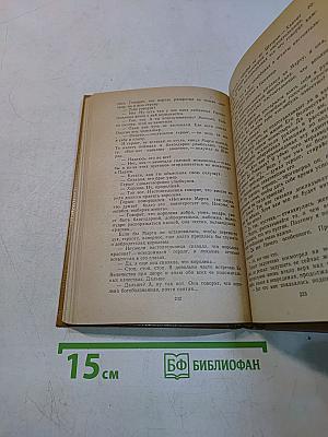 Прекрасная француженка или История любви Анабель де Круазье