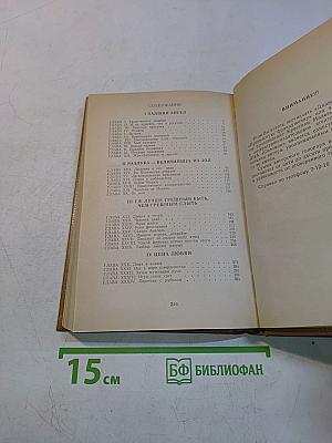 Прекрасная француженка или История любви Анабель де Круазье