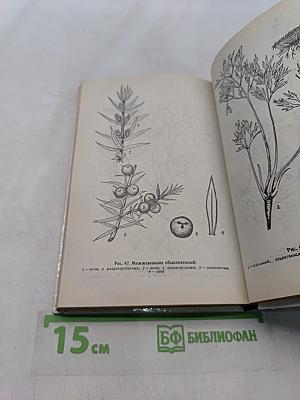 Рецепты природы. Применение лекарственных растений. Книга 2