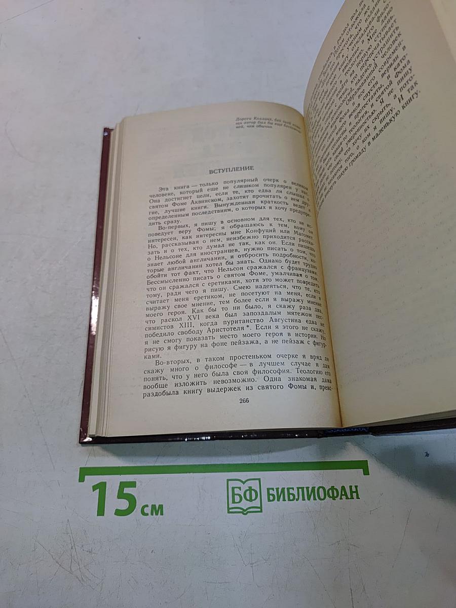 Вечный человек
