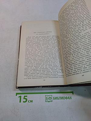 Вечный человек
