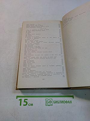 Виконт де Бражелон, или Десять лет спустя. Части 3, 4