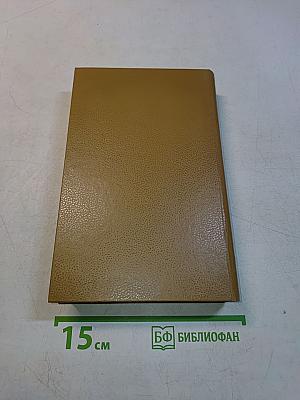 Виконт де Бражелон, или Десять лет спустя. Части 3, 4