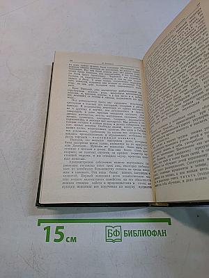 И дум высокое стремленье...
