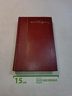 Собрание сочинений. Том четвертый. Евгений Онегин. Драматические произведения
