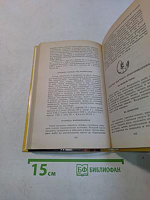 Салаты и закуски