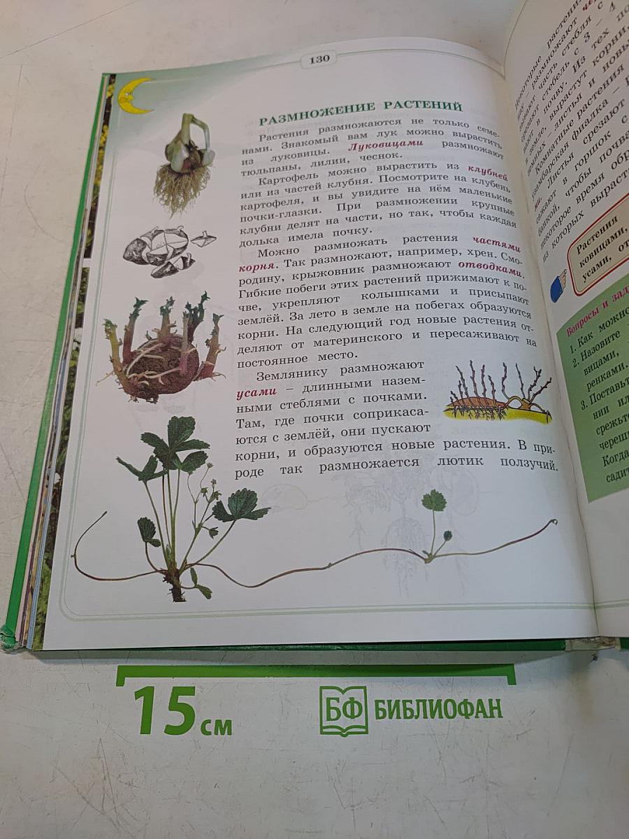 Природоведение и экология. Учебник для 2 класса трехлетней и 3 класса четырехлетней начальной школы