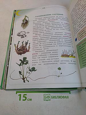 Природоведение и экология. Учебник для 2 класса трехлетней и 3 класса четырехлетней начальной школы