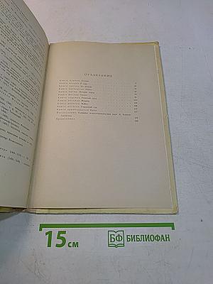 Микеланджело