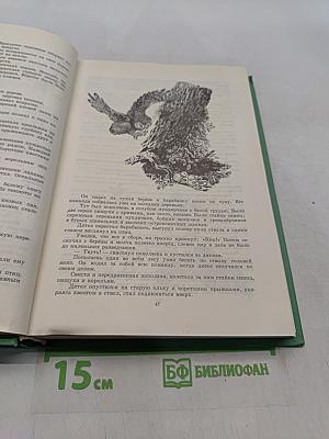 Рассказы и сказки. Том 1