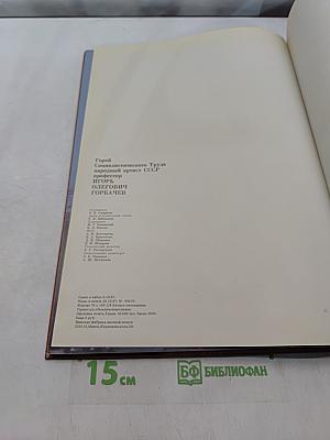 Игорь Горбачев