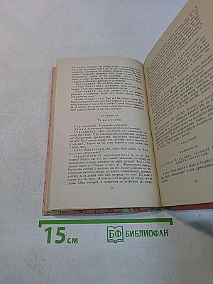 Ревизор