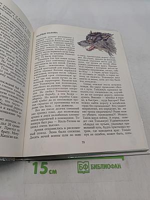 Византия. Книга битв. VI—IX века