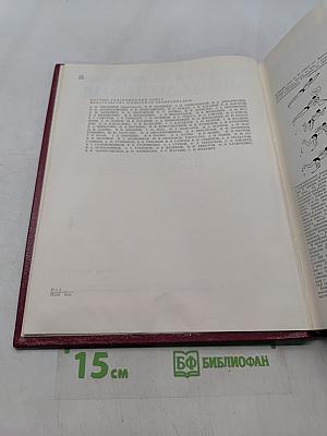 Большая Советская Энциклопедия. Том 4. Брасос — Вещь