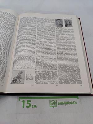 Большая Советская Энциклопедия. Том 4. Брасос — Вещь
