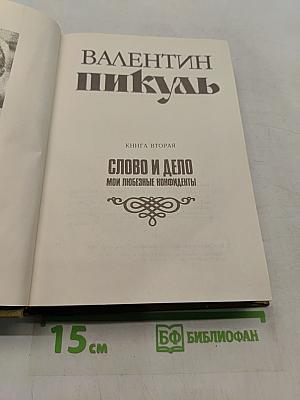 Слово и дело. Книга вторая. Мои любезные конфиденты
