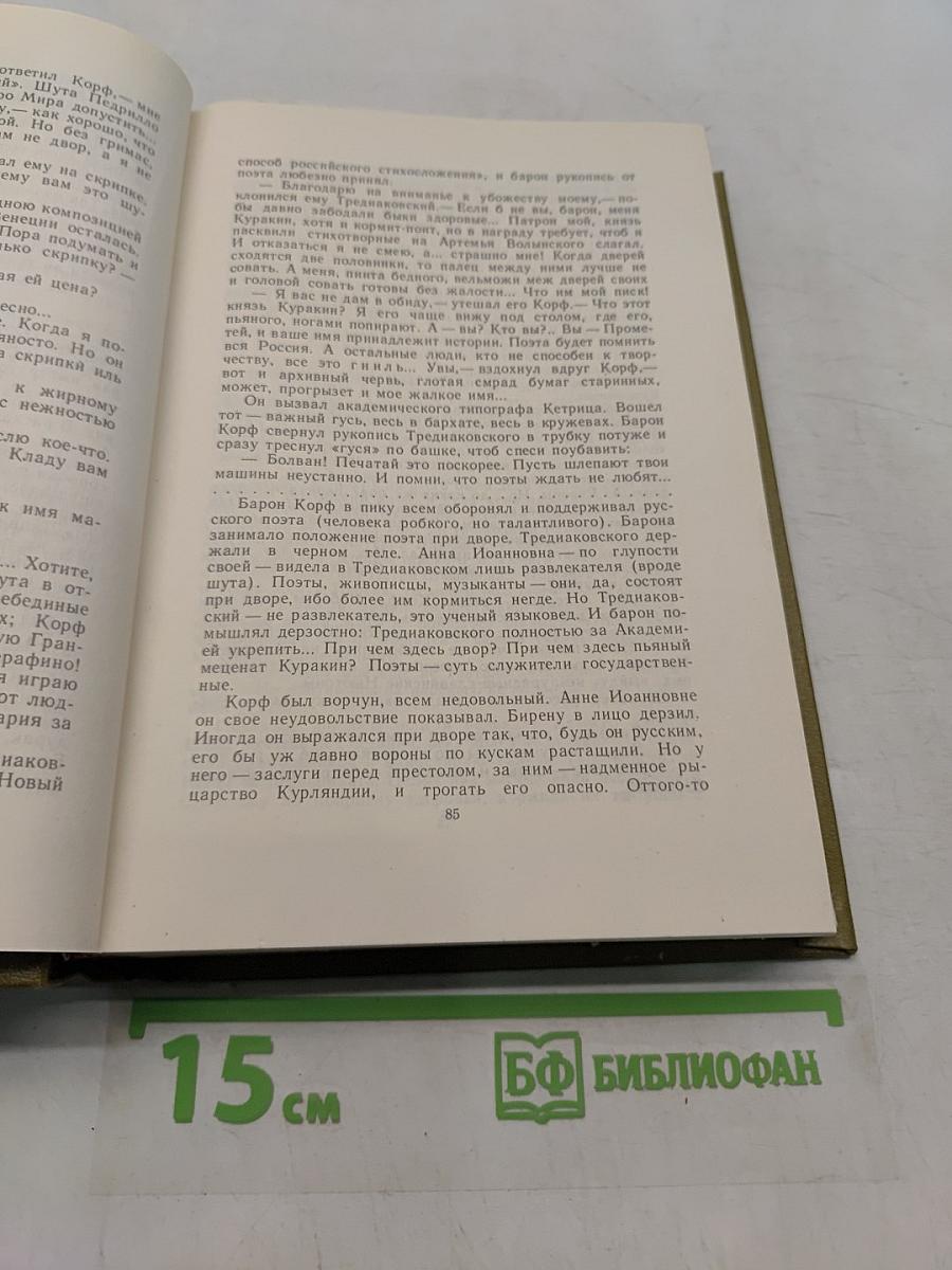 Слово и дело. Книга вторая. Мои любезные конфиденты