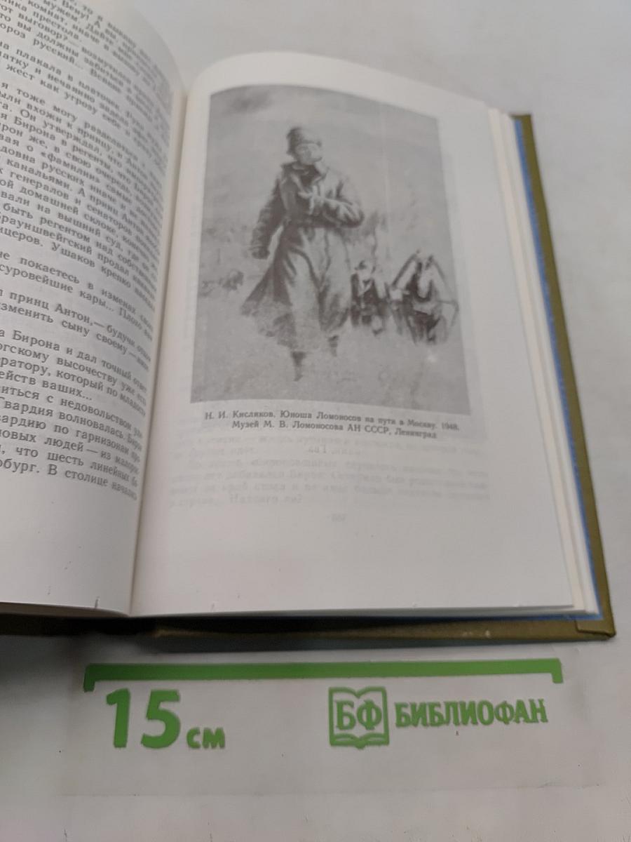 Слово и дело. Книга вторая. Мои любезные конфиденты