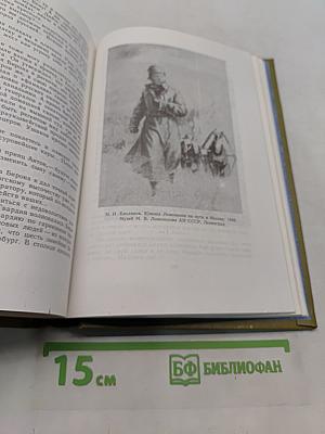 Слово и дело. Книга вторая. Мои любезные конфиденты