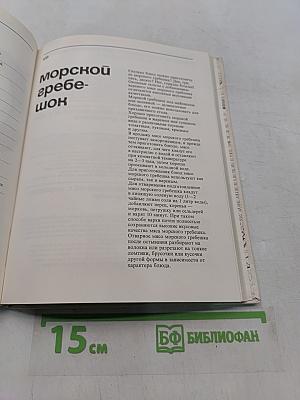 Дары моря
