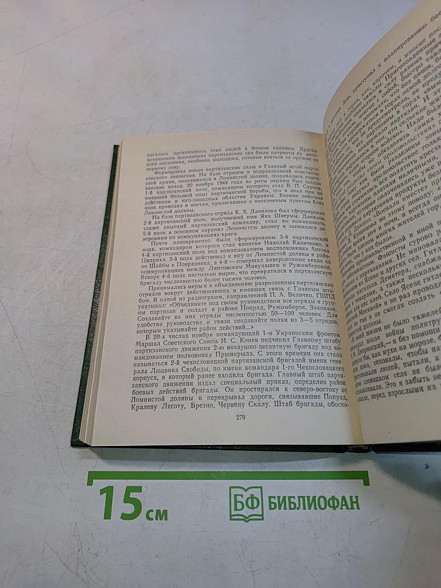 Фронт в тылу вермахта