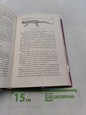 Жизнь животных. Земноводные и пресмыкающиеся