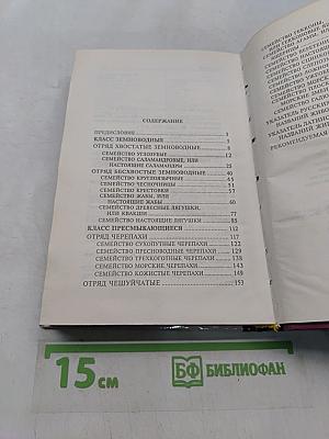 Жизнь животных. Земноводные и пресмыкающиеся