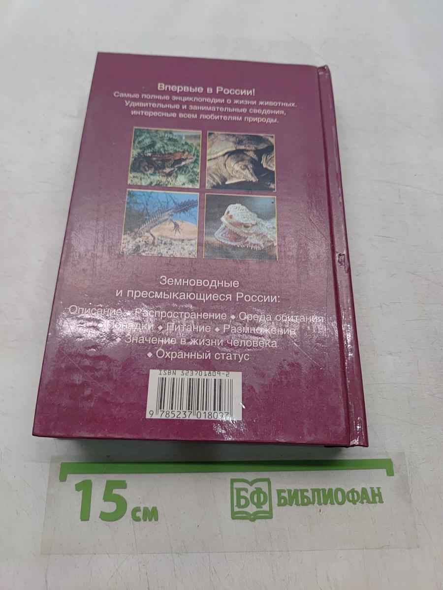 Жизнь животных. Земноводные и пресмыкающиеся